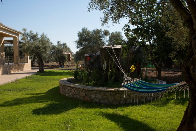 villa elionas — photo 3
