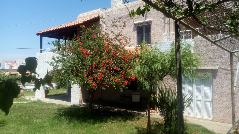 Villa Golden Sea Chania — photo 2