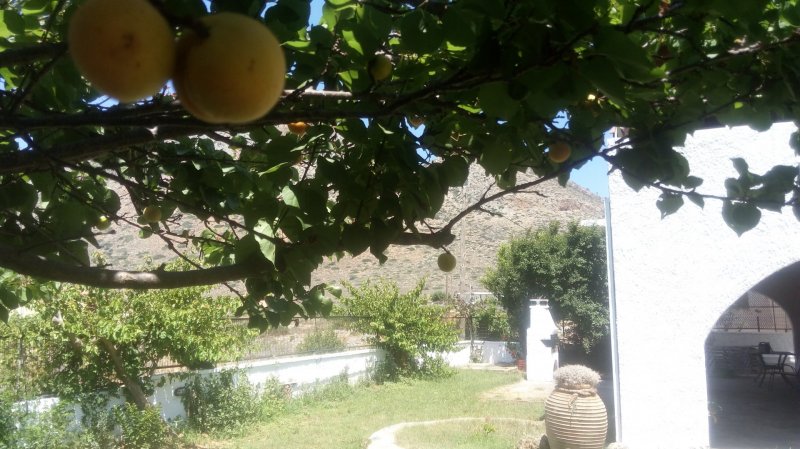 Villa Golden Sea Chania — photo 6