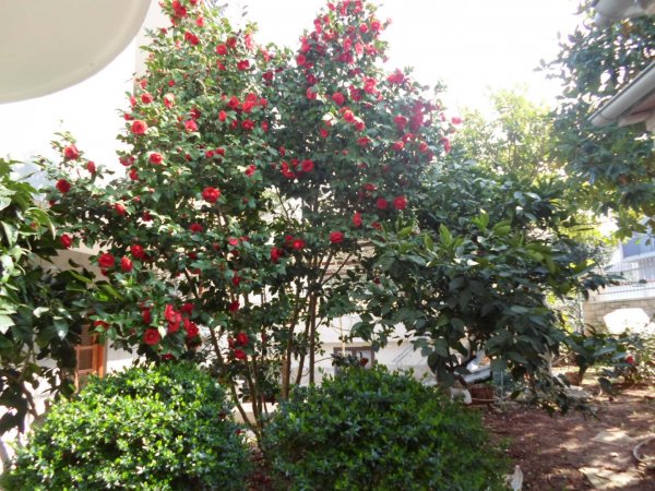 Dream vacations in apartment A1 villa MaVeRo 150 m fare from the beach — photo 2
