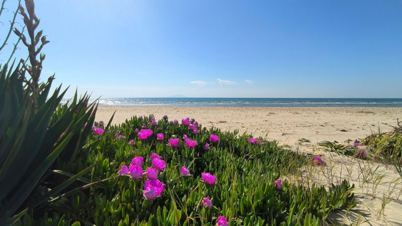 Konstantina First Line Mandra Beach — photo 4