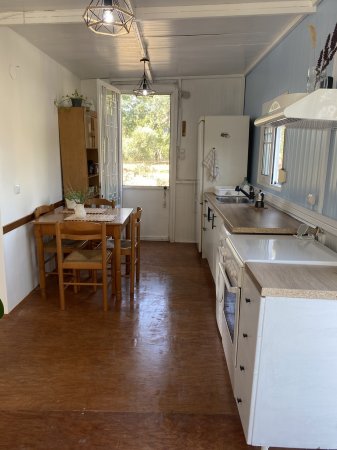 alexander — photo 2