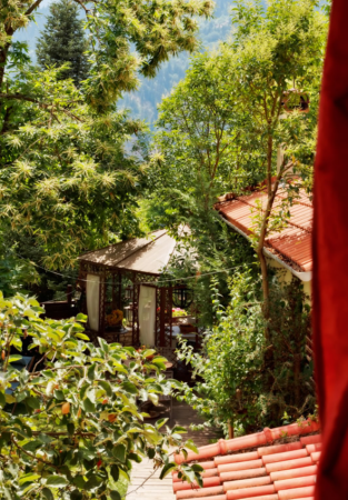 Anerada Saumon — photo 5