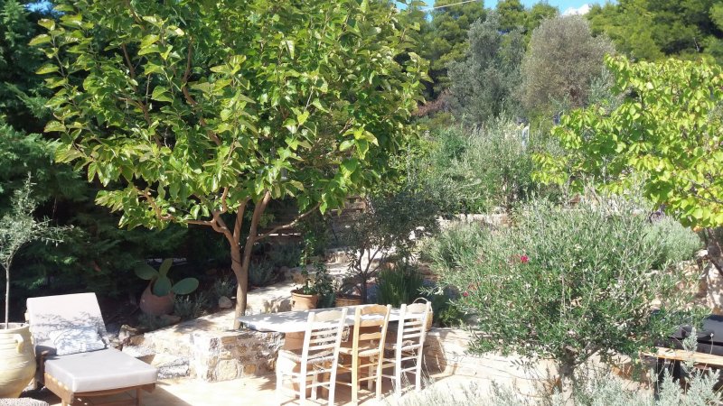 Rent a villa in Evia Island Greece with private pool only 99km from Athens sleeps 7prs. — photo 5