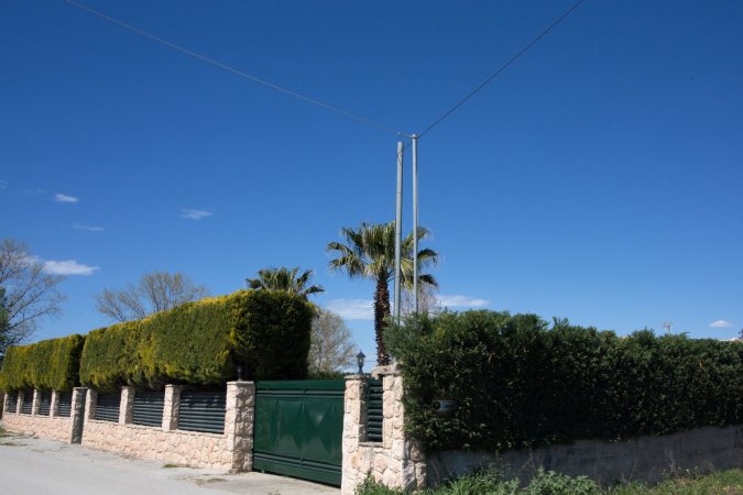 Palm Tree Seaside Villa — photo 5