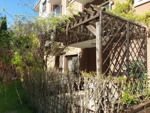 Glacinia — photo 2