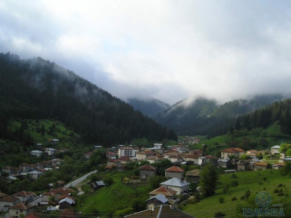 House Jani Trigrad