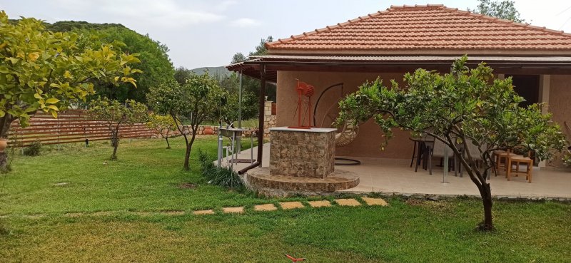 Country house VASIANA — photo 2