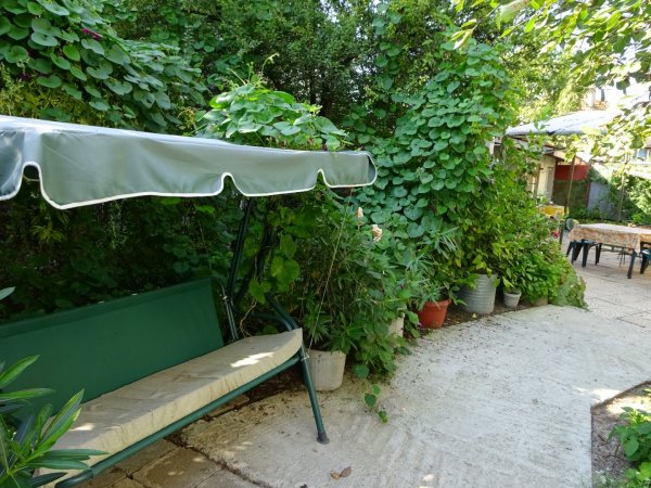 с мирис на море — photo 4
