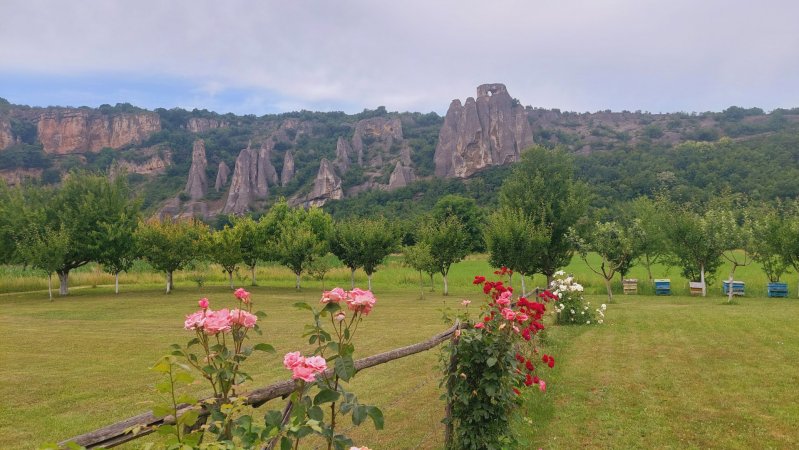 Guest House "Na Iskara" — photo 5