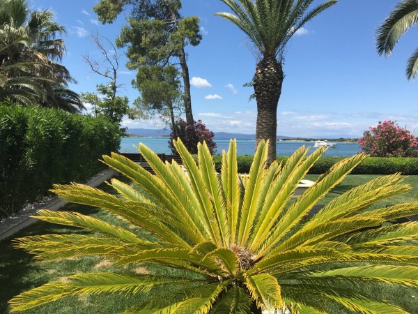 Samaya Beach House — photo 2