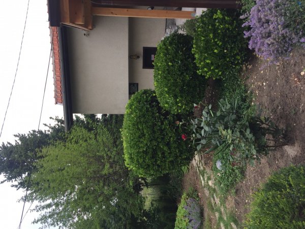 Villa Lilia — photo 2