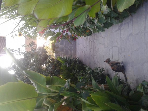 VILLA POSEIDON — photo 2