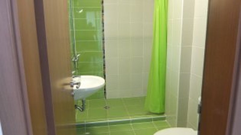 Green — photo 3