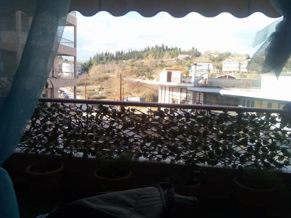 Christos-Vasia — photo 4