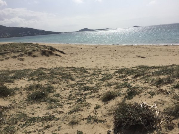Naxos plaka Bay Villa with Sea View — photo 1
