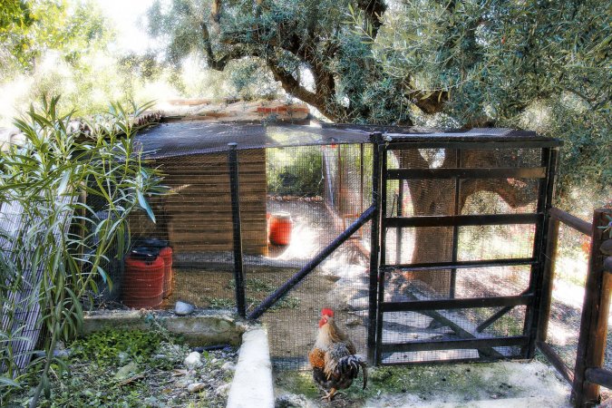 Ampelos Estate - The Villa — photo 5