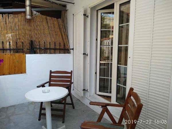 SOFIA'S HOME — photo 4