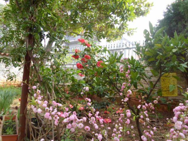 Dream vacations in apartment A1 villa MaVeRo 150 m fare from the beach — photo 5