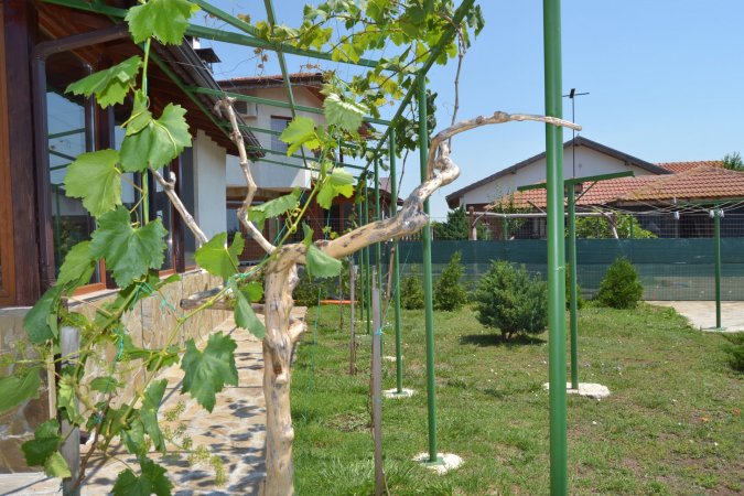 Villa Nelina - SeaView, BBQ, Quiet — photo 4