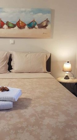 Irida Koala apartments — photo 6