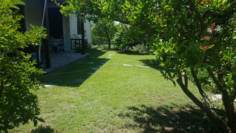 Olive Summer House — photo 1