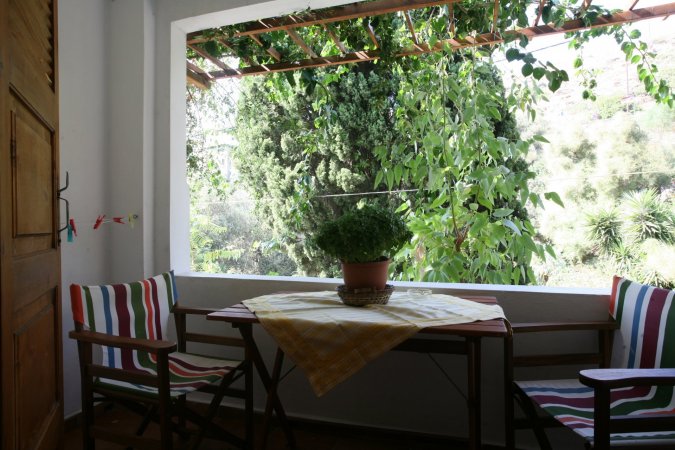 amorani — photo 3