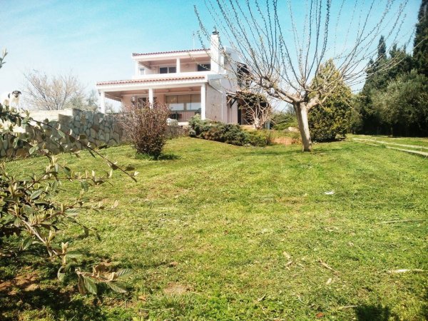 Villa Konstantinos — photo 3