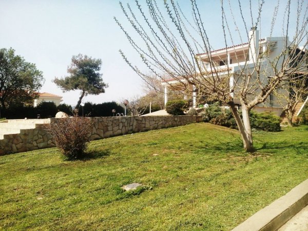 Villa Konstantinos — photo 2