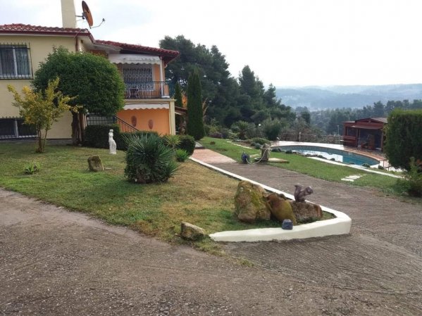 Villa Cultura — photo 6
