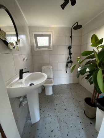 alexander — photo 6