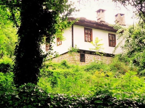 The house of the artist Gabriel Vichev-Kalmi — photo 3