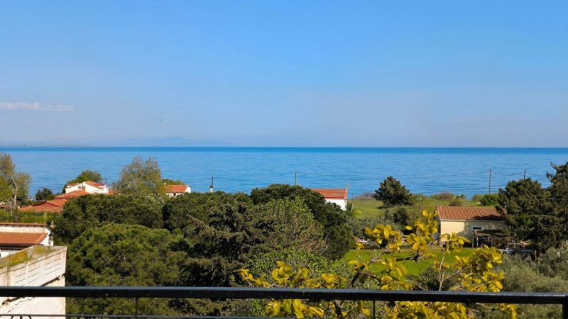 Blue Horizon Avdira Beach — photo 5