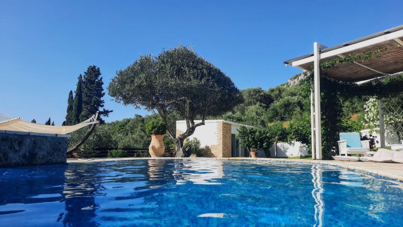 villa Claire Corfu — photo 3