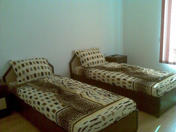 House Polly — photo 6