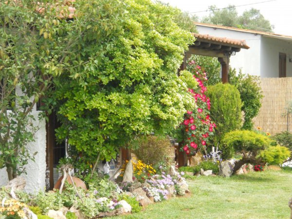 Efi's cozy house Nea Plagia — photo 2