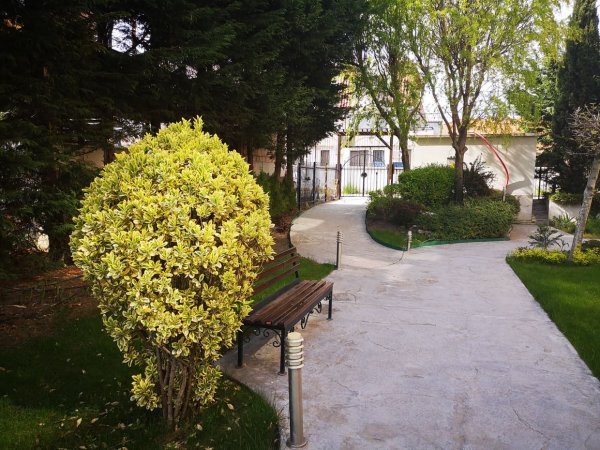 Glacinia — photo 1