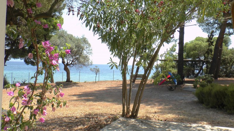 Sea front villa