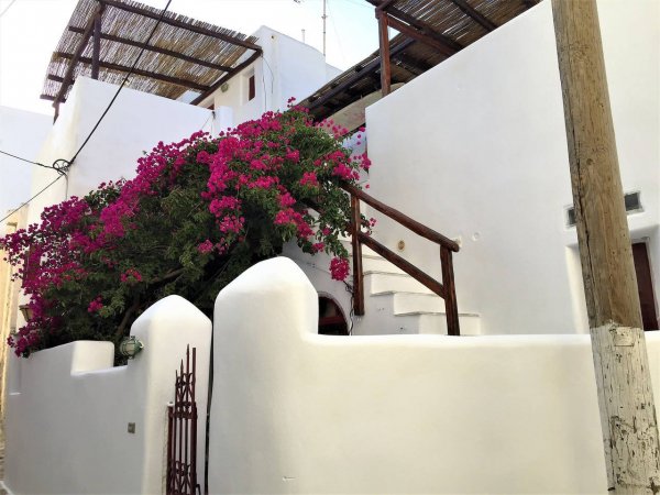 Tsigonias Traditional Villa — photo 1