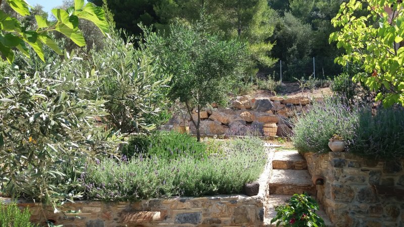 Rent a villa in Evia Island Greece with private pool only 99km from Athens sleeps 7prs. — photo 3