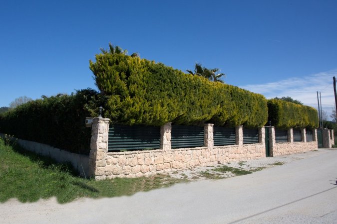 Palm Tree Seaside Villa — photo 4