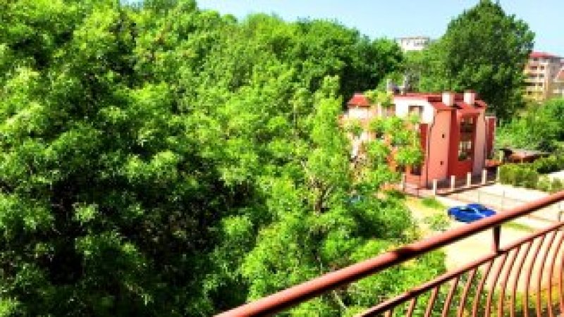One-bedroom apartment for rent in Anita Complex, Sunny beach — photo 3