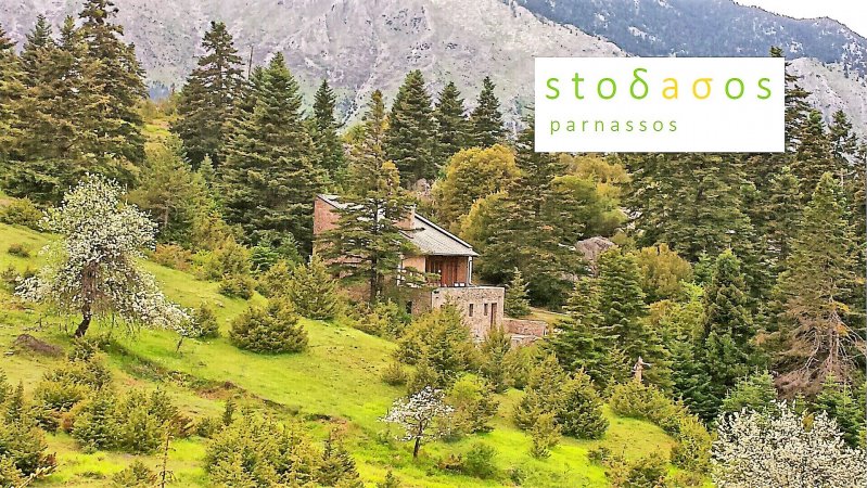 stodasos — photo 1