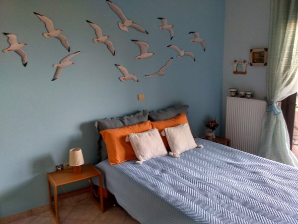 Room of the seagulls — photo 3