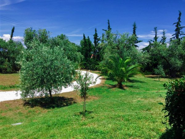 My Thassian Villa — photo 2
