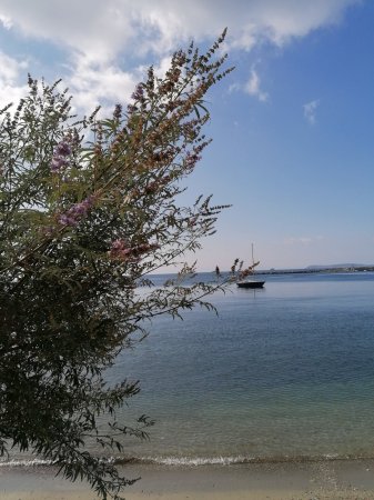 "EOTHINOS" SEA FRONT STUDIO — photo 5