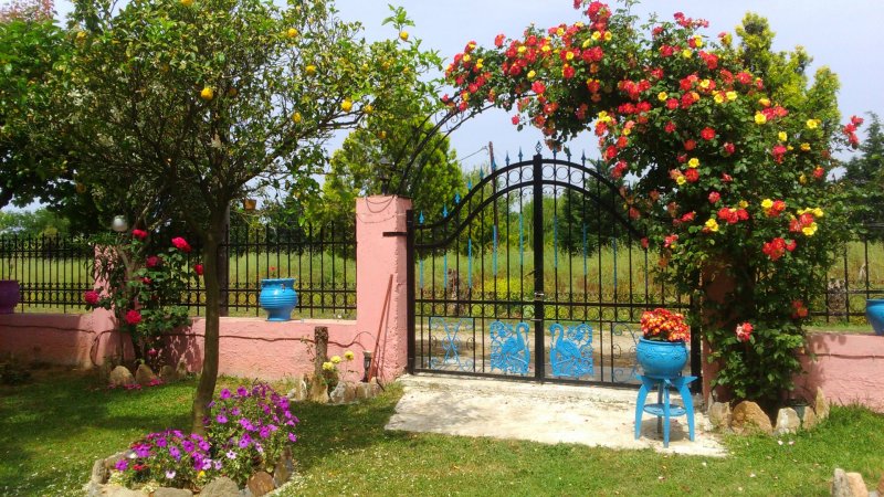 Villa Mitselo — photo 3