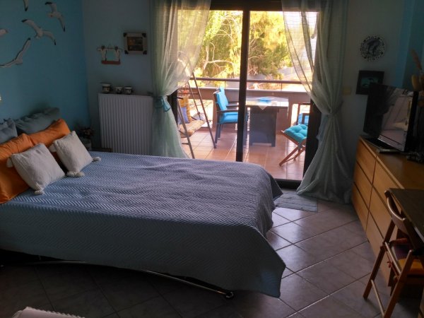 Room of the seagulls — photo 6