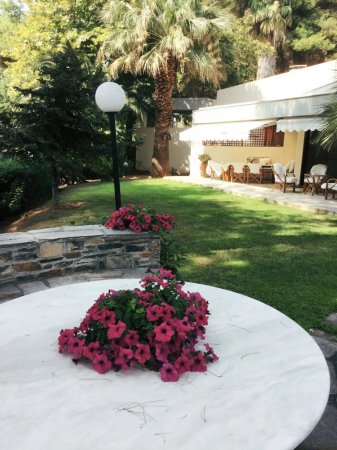 Sani Villa Citrine with shared pool — photo 4