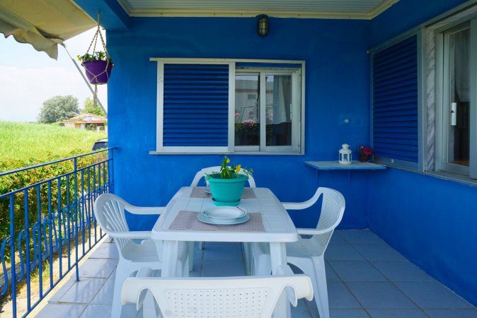 Blue House — photo 4